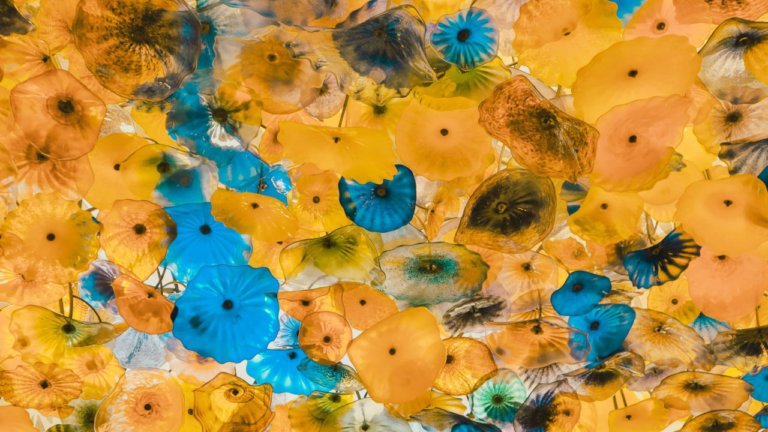 clark-van-der-beken-oVHSvCYckC8-unsplash Image description