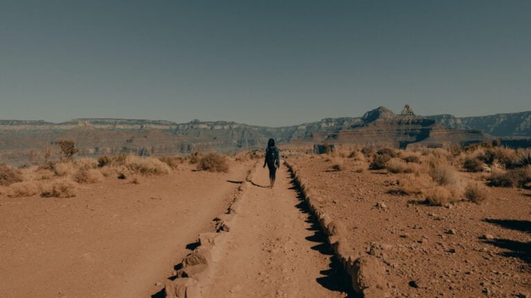 clay-banks-joP6x-Dj6mM-unsplash Image description