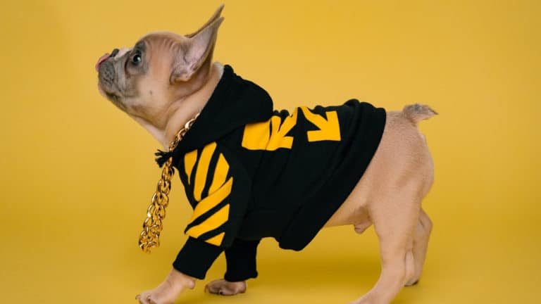 editedkarsten-winegeart-jwB41-bQn_o-unsplash Image description