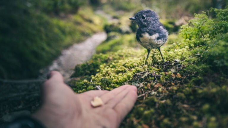 marek-piwnicki-Dcp3sz56P-g-unsplash