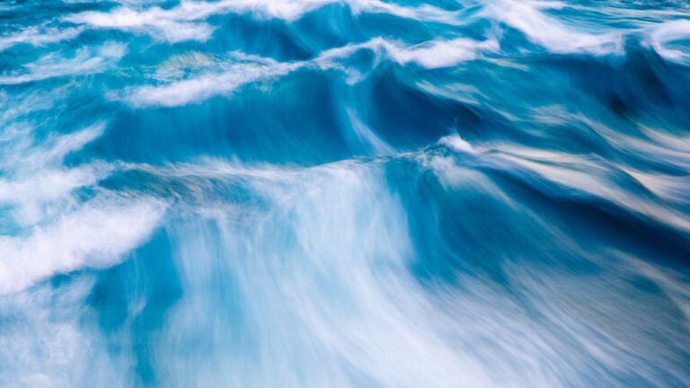 martin-adams-B2wIx44pYAU-unsplash Image description