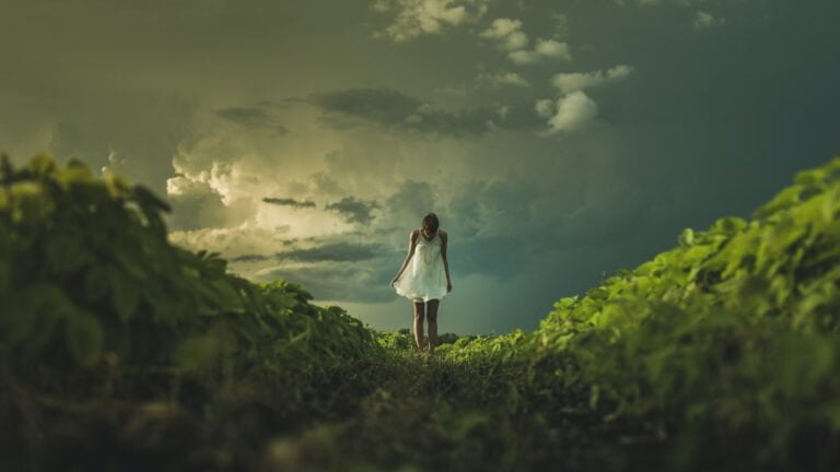 matthew-henry-pNMH4SDf8us-unsplash Image description