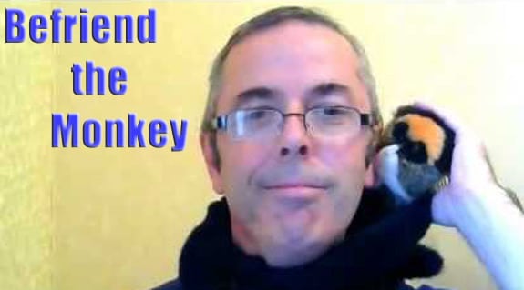 Befriend the Monkey - How to Make the Best Use of An Astrology Consultation