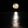 Full Moon in Chitra 7th-8th April, 2020 Full Moon in Chitra 7th-8th April, 2020