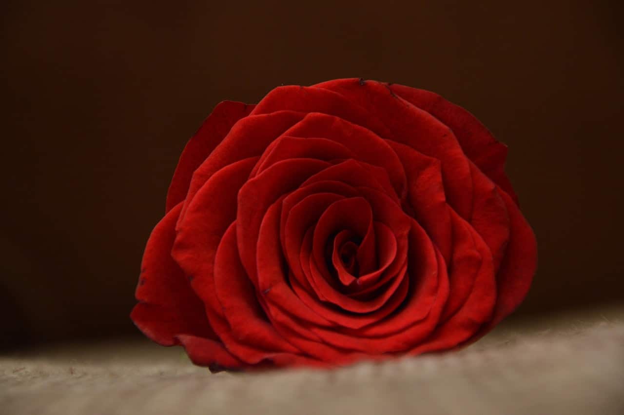 With Passion Please! - Moon in Purva Ashadha 1st May, 2021 With Passion Please! - Moon in Purva Ashadha 1st May, 2021