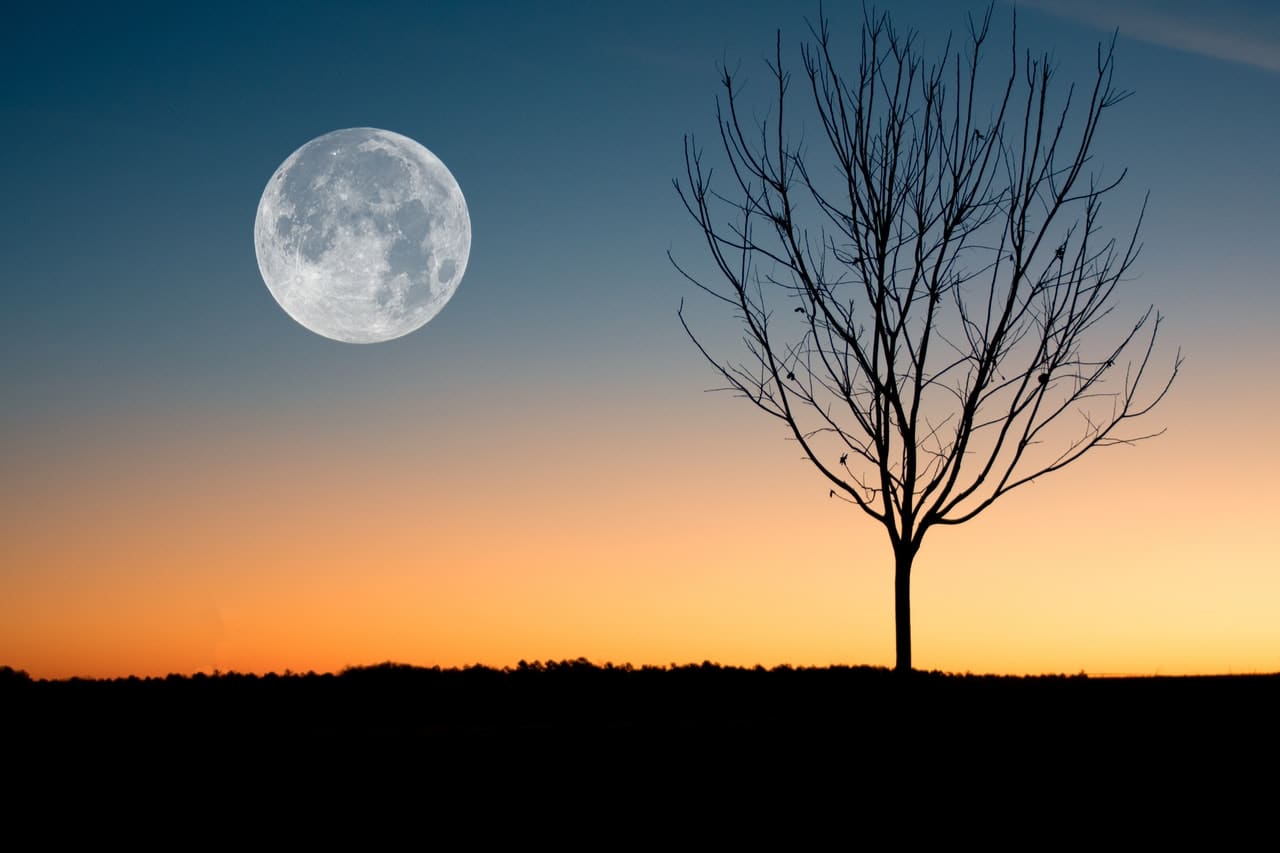 Lost in the Torrent! - Full Moon in Uttara Bhadrapada 20th September, 2021 Lost in the Torrent! - Full Moon in Uttara Bhadrapada 20th September, 2021