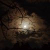 Wisest Choice! - Moon in Swati 3rd February, 2021 Wisest Choice! - Moon in Swati 3rd February, 2021