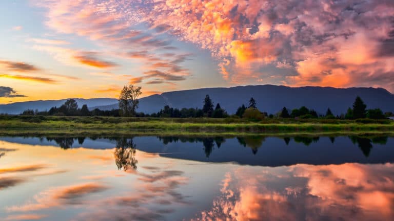 pexels-james-wheeler-1486974 Image description