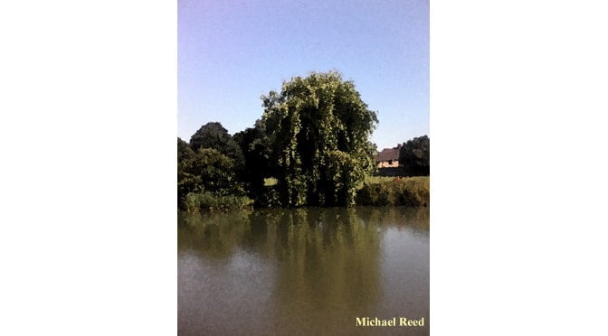 Placid by Michael Reed