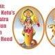 Karma: Rahu and Ketu's Nakshatra Position